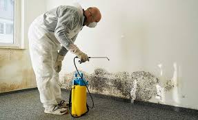 Best Biohazard Mold Removal  in Layton, UT