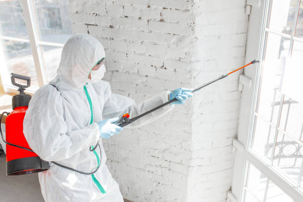 Mold Remediation for Vacation Homes in Layton, UT