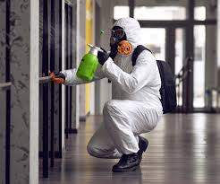 Why You Should Choose Our Mold Remediation Services in Layton, UT